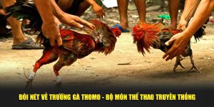 Đôi nét về trường gà Thomo