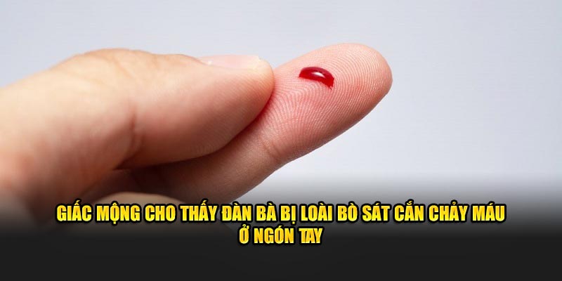 Giấc mộng cho thấy đàn bà bị loài bò sát cắn chảy máu ở ngón tay