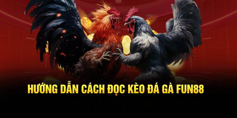 Hướng dẫn cách đọc kèo đá gà Fun88