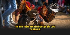 Đá Gà Cựa Sắt Là Gì